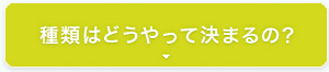 種類はどうやって決まるの？